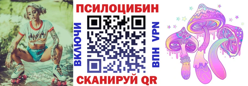 Псилоцибиновые грибы прущие грибы  что такое   Богучар 
